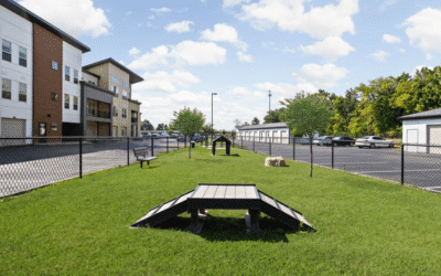 Explore the Pet-Friendly Lifestyle at Aria of Zionsville Apartments